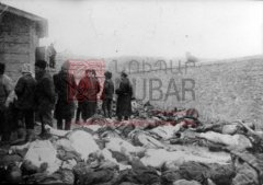 Charnier découvert par les troupes russes au cours du printemps 1915 dans un village des environs de Van (coll. Musée Institut du génocide, Erevan).